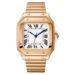 Envoro Santos - Image 3